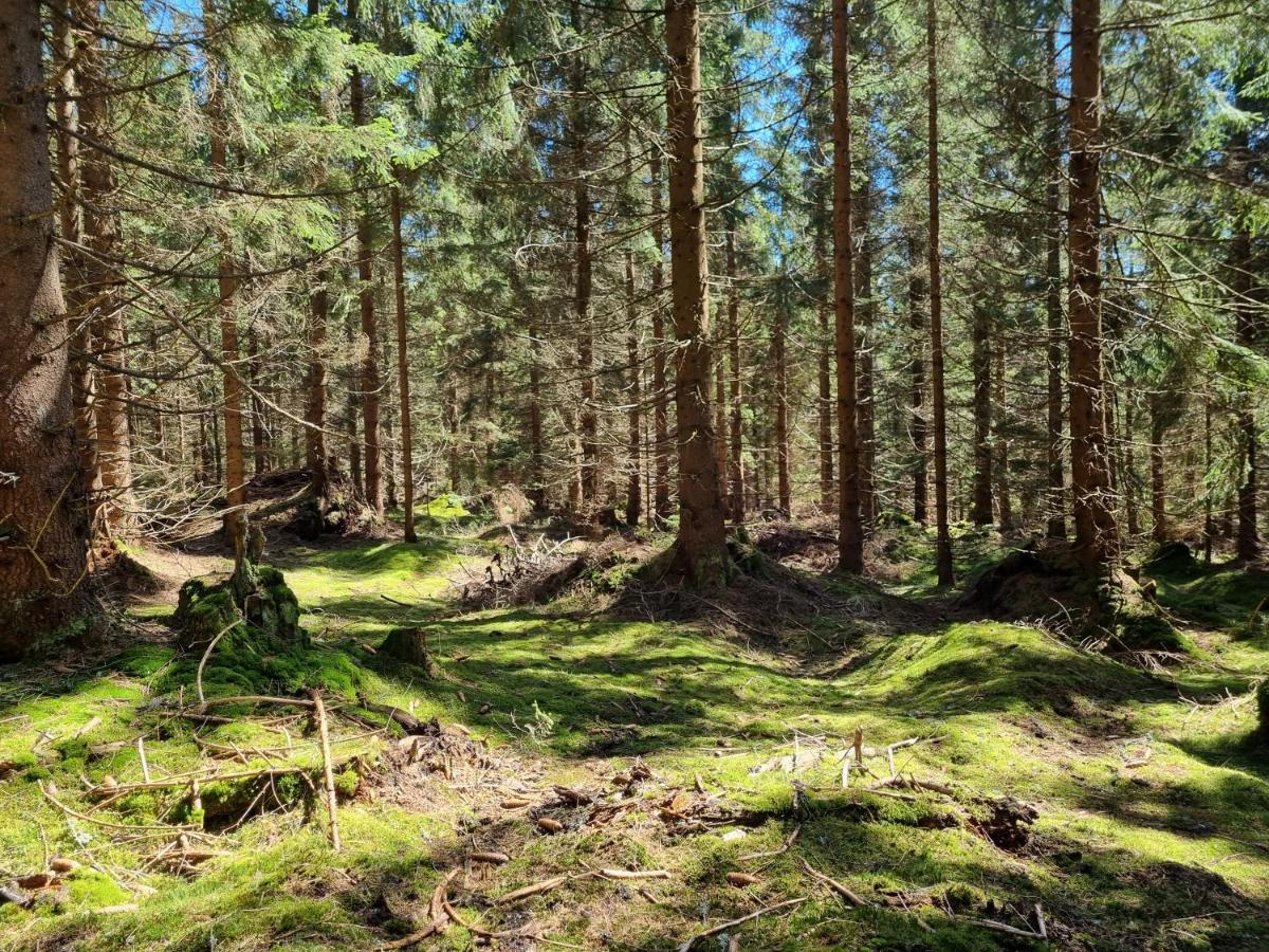 Apartman Felix Vaclavov u Bruntalu Exteriér fotografie